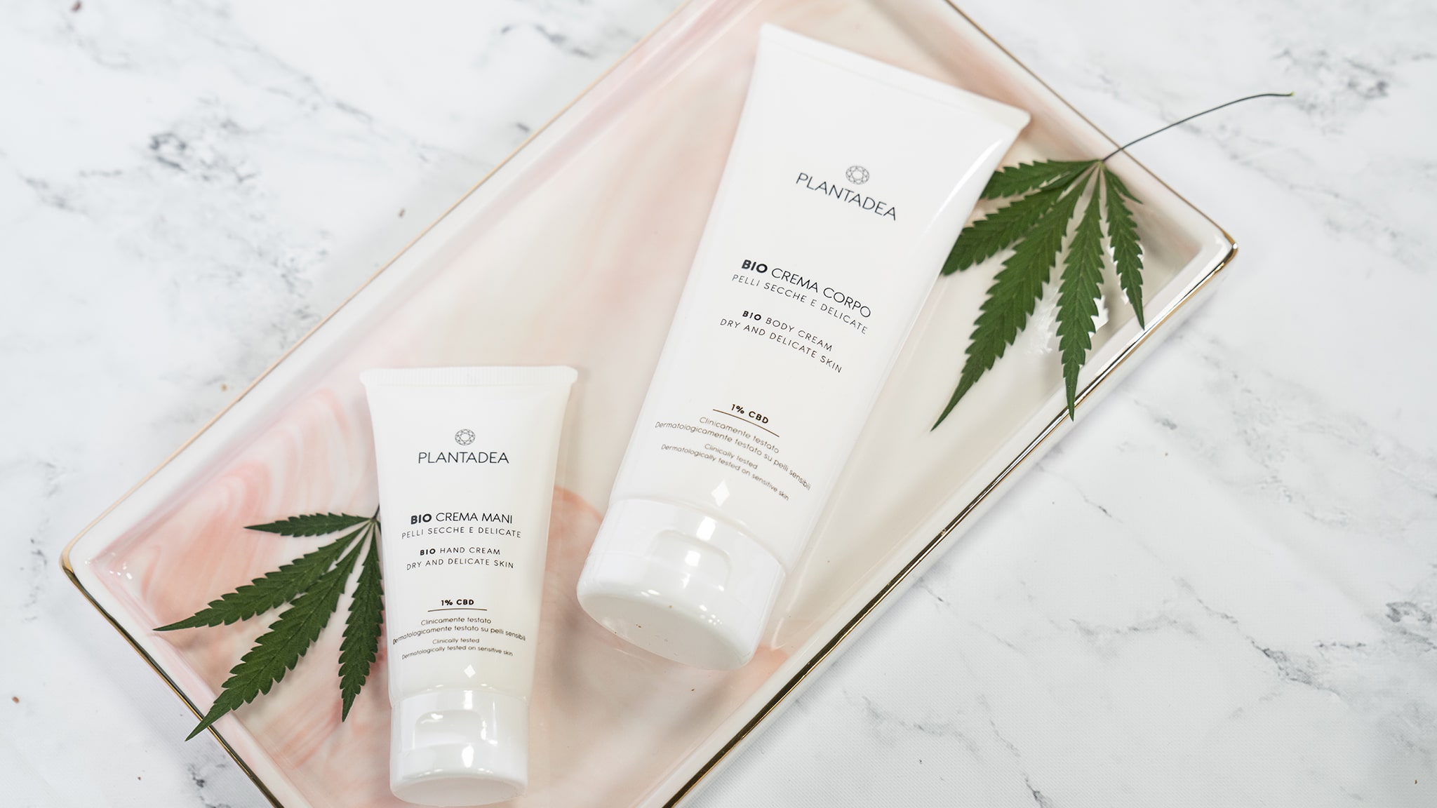 come sono nati i cosmetici bio