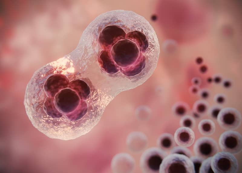 cellule morte pelle screpolata piedi