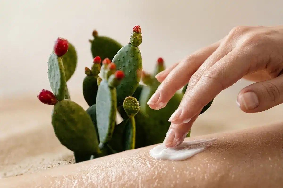 primo piano di una mano che spalma una crema contenente fico d'india. Pianta di fico d'india sullo sfondo